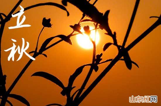 2023年立秋是黄道吉日吗 立秋有什么禁忌