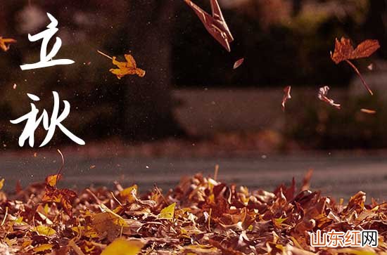 2023立秋下雨好不好 立秋下雨好还是天晴好