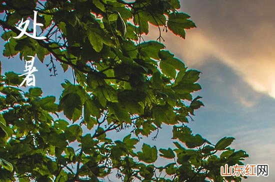 2023立秋热还是处暑热 立秋和处暑气候有什么区别