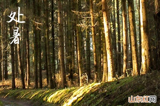 2023年处暑图片大全 处暑后天还热吗