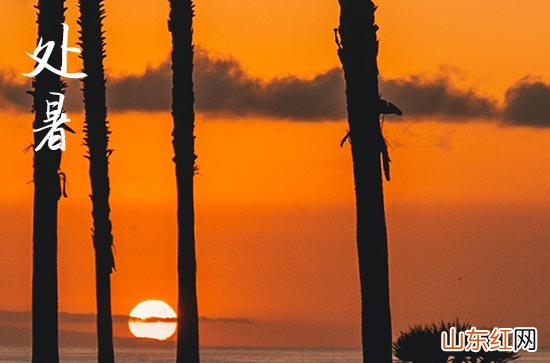 2023处暑喝什么茶叶好 处暑养生茶文化介绍