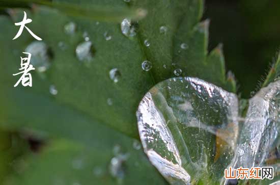 2023大暑是几月几日几点 今年大暑具体几点几分几秒钟