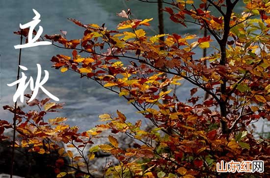 立秋和秋分有什么区别