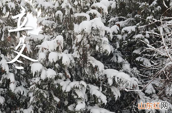 给客户的立冬祝福语