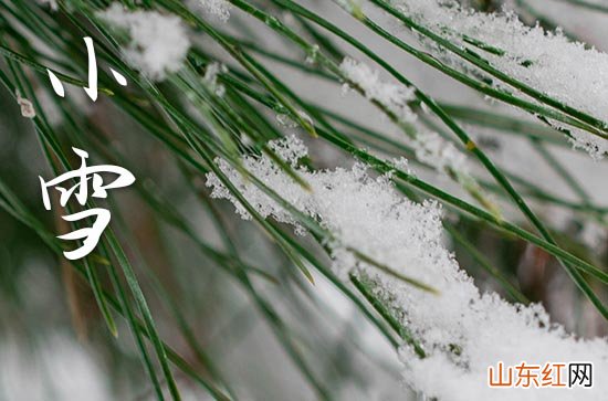 暖心小雪祝福语15篇