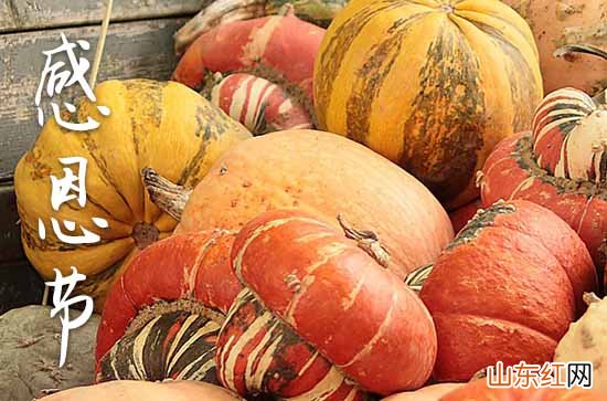 2023感恩节祝福语