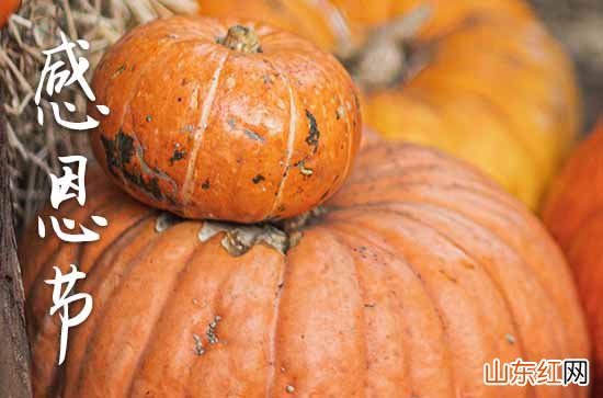 感恩节送给长辈祝福语