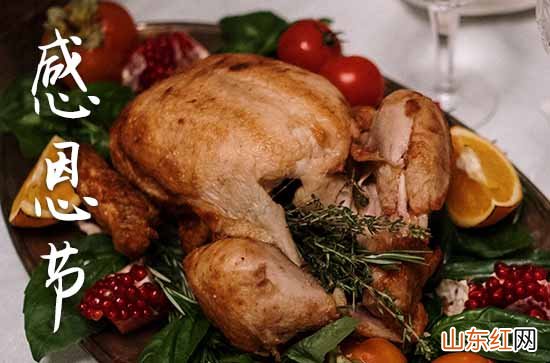 感恩节祝福老师的句子