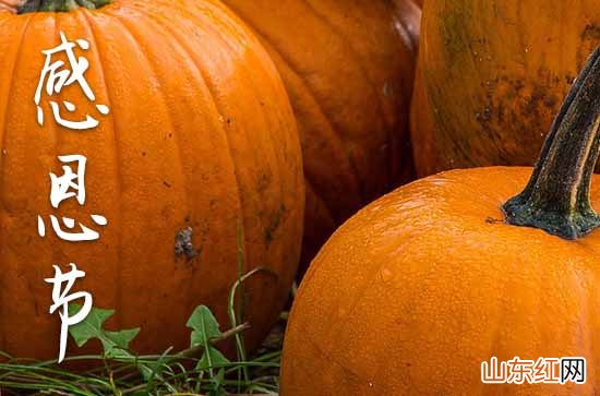 感恩节的祝福语通用15篇