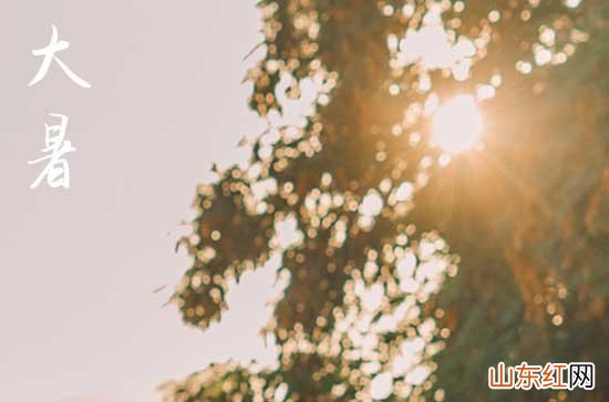 2023大暑节气的养生方法 大暑节气养生要点