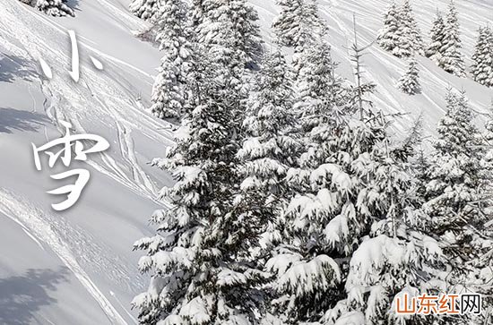 2023描写十一月小雪的优美祝福语80句 2023小雪发朋友圈优美句子