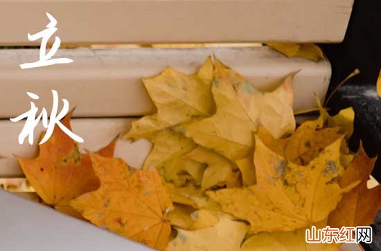 2023年立秋时间是早还是晚 8月8日立秋是早秋还是晚秋