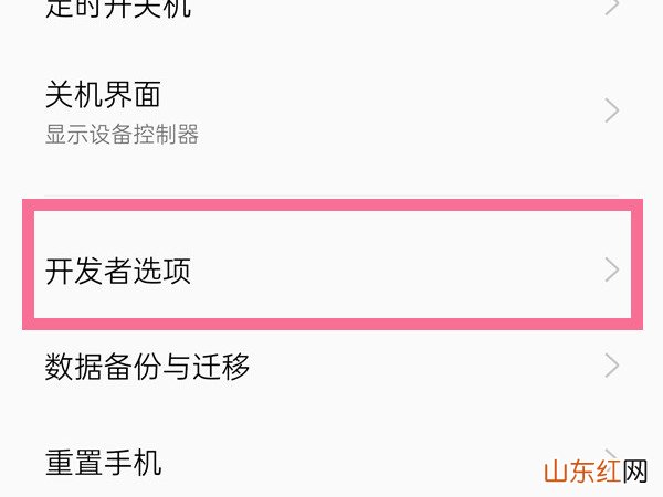 一加AcePro怎么进入开发者模式 一加AcePro进入开发者模式方法介绍