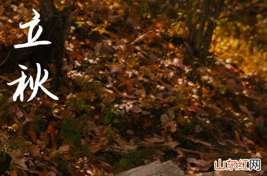 2023年8月8日几点立秋 2023年8月8日立秋具体时间