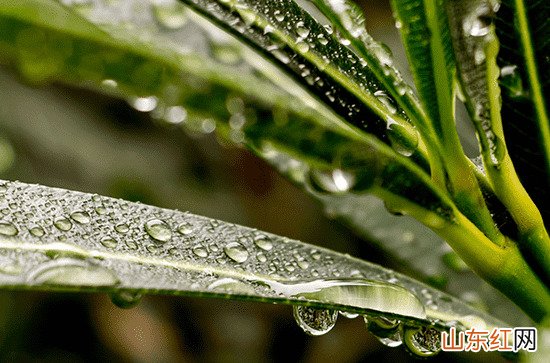 2023年江浙沪梅雨季节是什么时候