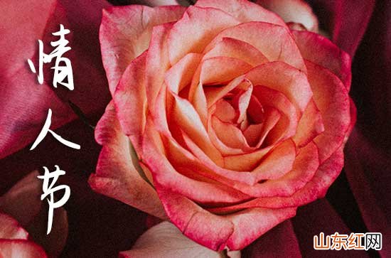 520网络情人节祝福语2024