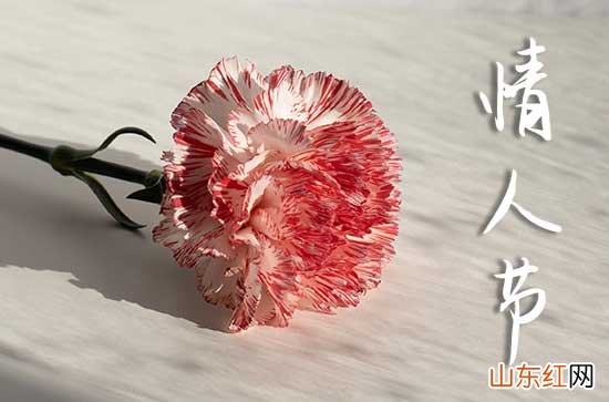 2024情人节祝福语送男朋友100句