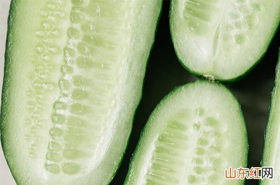 今年伏天哪天开始哪天结束2023