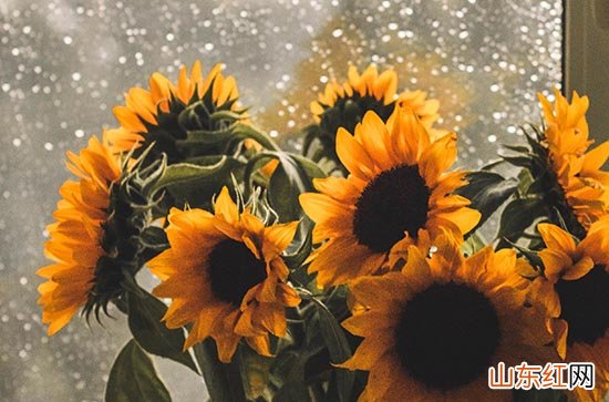 2023年哪天入伏 2023入伏时间是什么时候