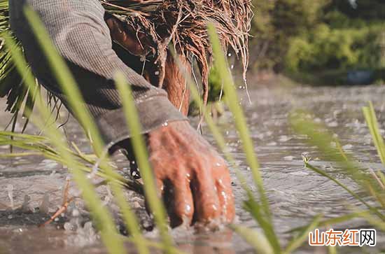 2024年劳动节客户微信30句