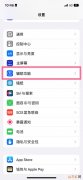 iphoneled闪烁在哪里 苹果手机led闪烁设置在哪里