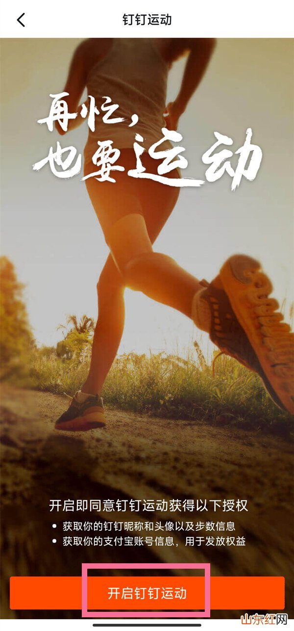 钉钉步数怎么开启 怎么开启钉钉运动