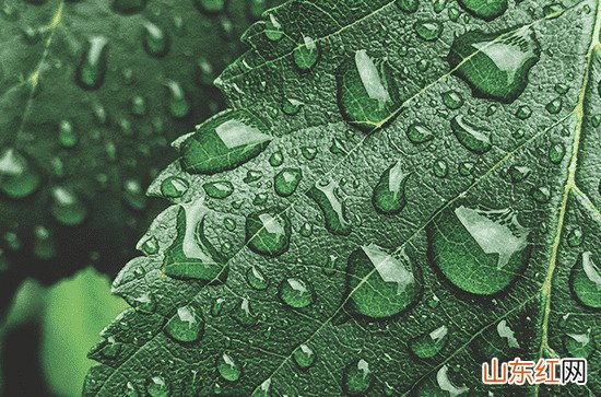 2023年7月雨水多吗 7月天气怎么样