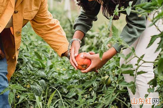 80句 劳动节微信贺词祝福语2024年