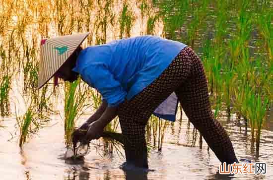 2024年劳动节给天堂父亲的祝福语