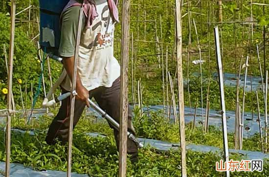 2024劳动节祝福语英文