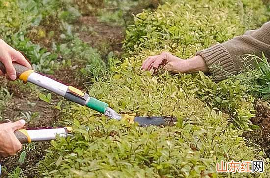 2024劳动节横幅祝福语