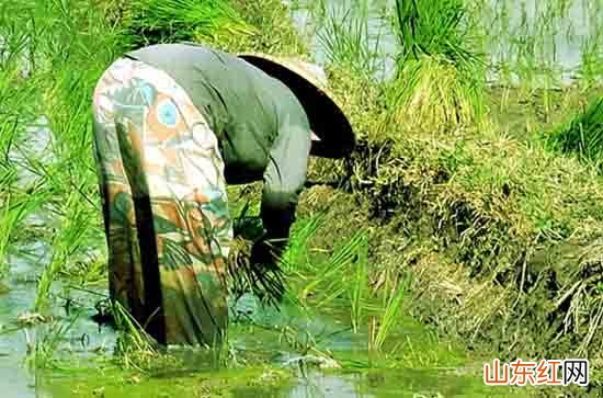 2024年劳动节的祝福短信精编