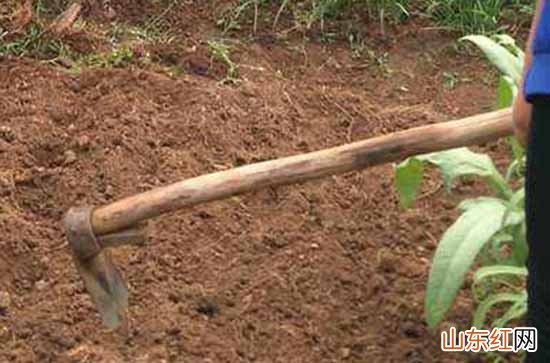 2024劳动节祝福语说说