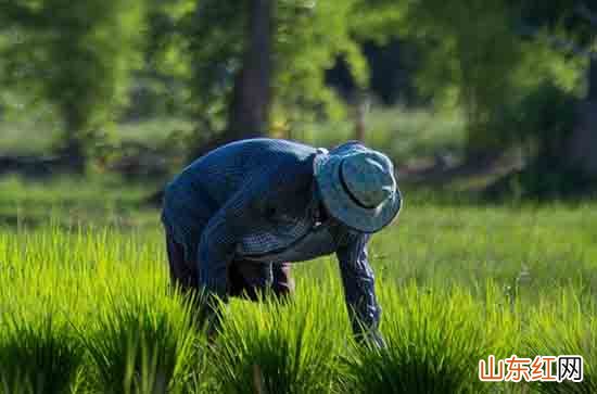 2024五一劳动节祝福语简短 51祝福的话简单有暖心