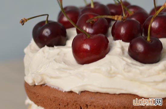 2023领导生日祝福语短信简短