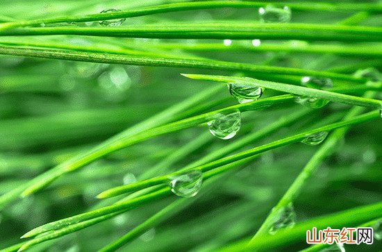 汇总80句 描写下雨天气的浪漫说说