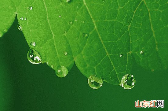 适合孤独雨夜伤感朋友圈文案80句