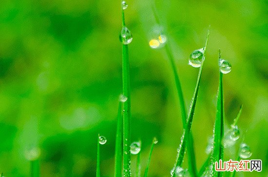 今年入梅是哪天,出梅是哪天2023