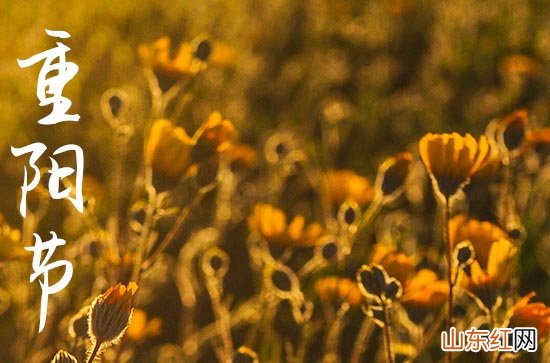 精选85句 2023重阳节祝福语