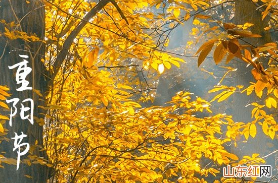 九九重阳节祝福语简短给长辈 2023重阳节寄语晚辈对长辈简短