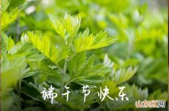 2023端午节句子精辟10字 端午节十字祝福语简短