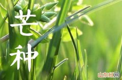 100句 芒种的说说文案