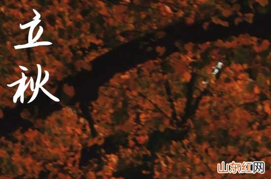 2023立秋时节的经典寄语24条