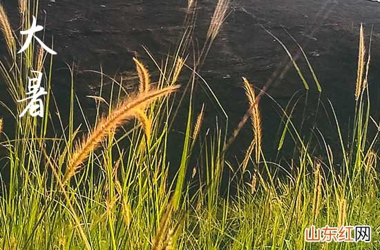 2023大暑节气的问候句子10条