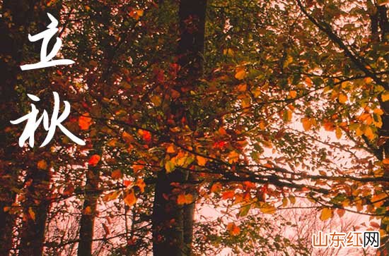 2023立秋祝福短信10篇