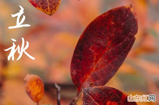 2023立秋时节的祝福贺词10句