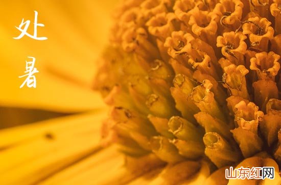 2023八月处暑的温馨文艺的秋天说说