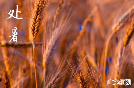 二十四节气2023处暑节气祝福短信四篇