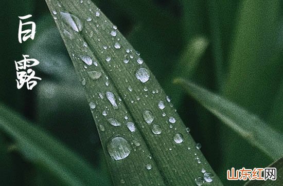 2023送个给家人朋友的白露节气祝福问候句子大全篇二