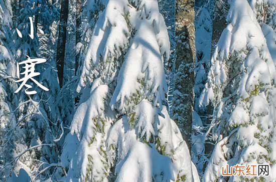 2023年小寒短信祝福语30句